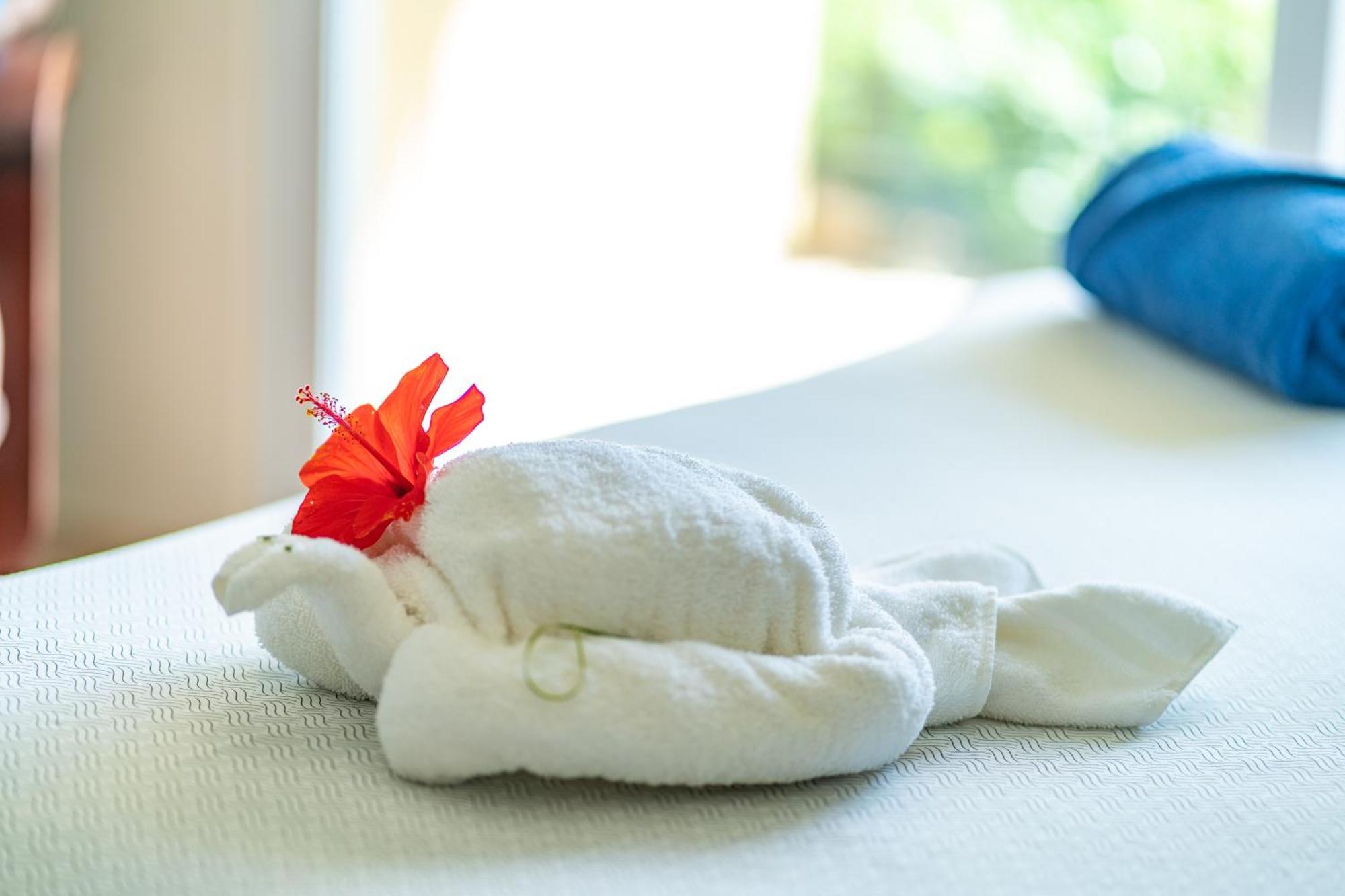 Agualina Kite Hotel Oceanfront Apartments Cabarete Zewnętrze zdjęcie